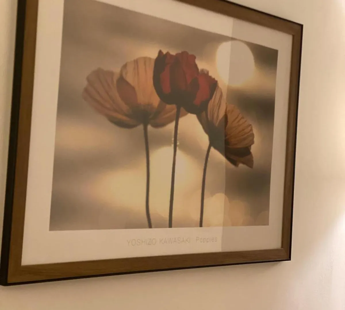 Lux Po House Apartment Rome